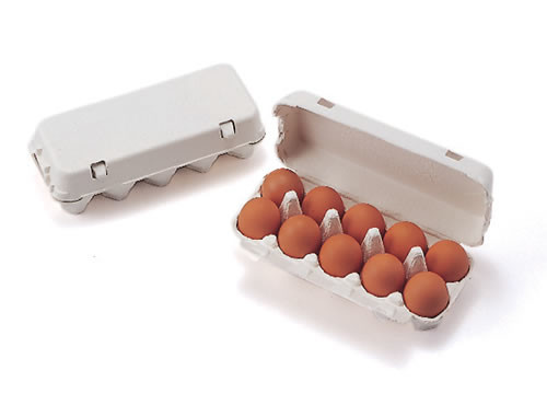 Semi Automatic Small Egg Box Forming Machine 440V Paper Moulding