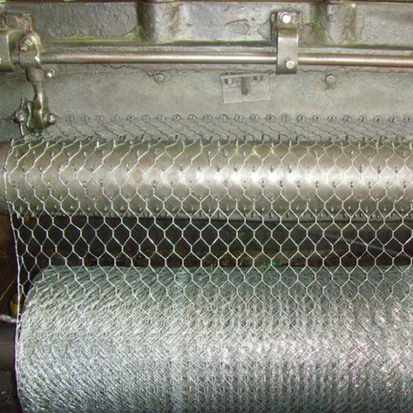 1.5 inch Hexagonal Wire Mesh 3 ft X 50 ft Galvanized Poultry Netting Fence 19 Gauge