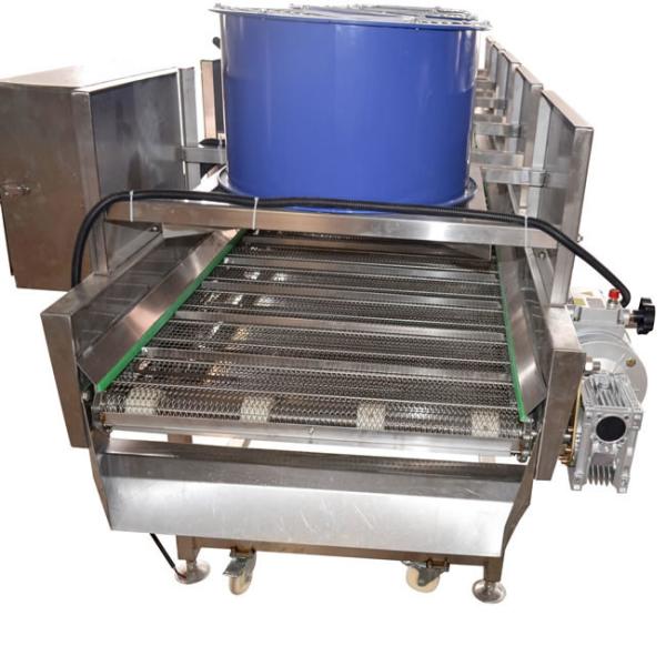 1500kg/H Dates Fruit Vegetable Drying Machine That Dried Fruit