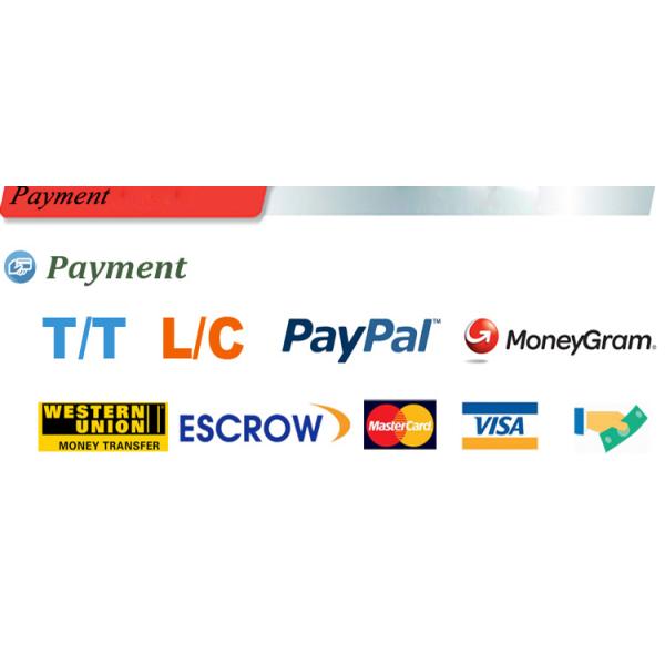 Chinese Supplier Professional Product Cheap Price Top Supplier Luxury Design Metal Galvanized Security Steel Door for Business