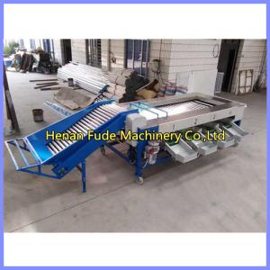 China potato sorting machine, potato grading machine wholesale