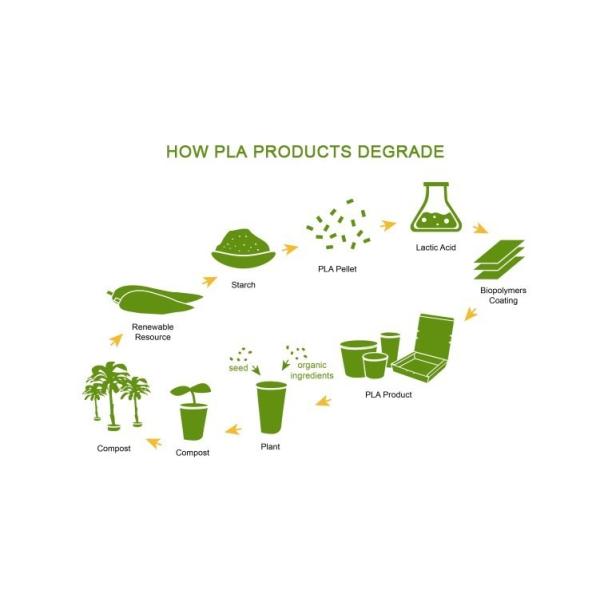 8OZ 12oz 16oz 20oz 24oz Bubble Tea Boba Beverage Coffee Clear PLA Cup