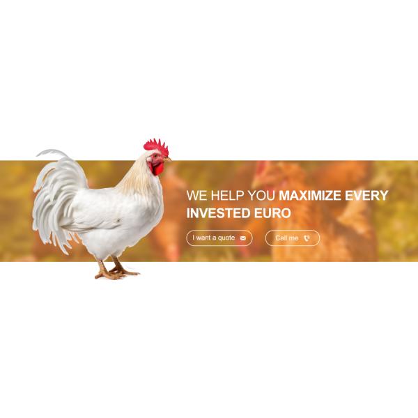 Multi Floor Large Scale Chicken Coop Shed Farm House Warehouse with Aluminum Alloy Window