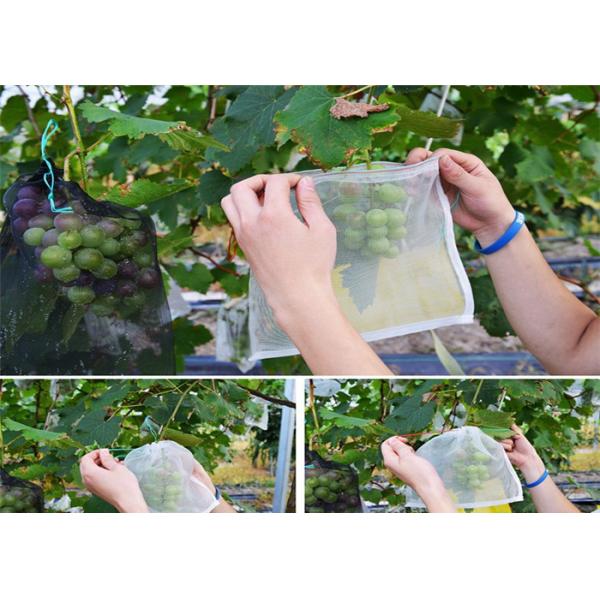 Agriculture Mesh Bag Garden Insect Mesh Netting Farming Vegetables Fruit Cover Insect Pest Fly Barrier Mesh Net Bag