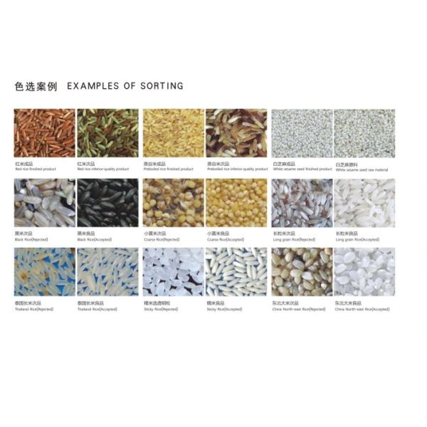 CCD Grain Color Sorter Real Time Remote Controlling With Big Capacity