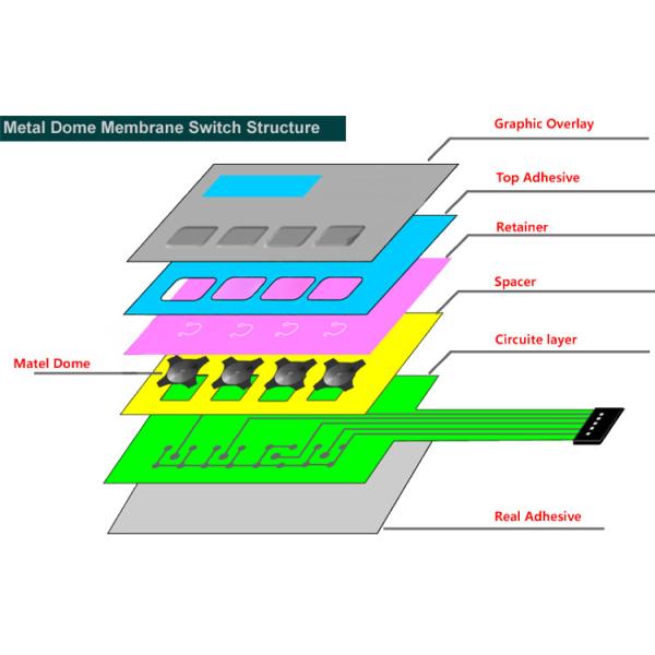 Dustproof LED Display Metal Dome Membrane Switch With 3M55230 Back Adhesive