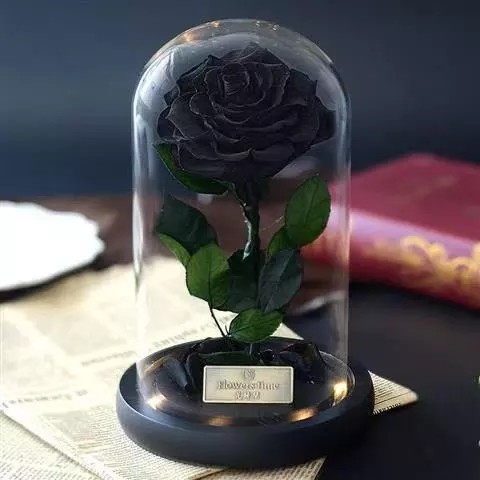 Preserved Everlasting Real Rose Flower in Glass Dome Preserved Flowers Christmas gift