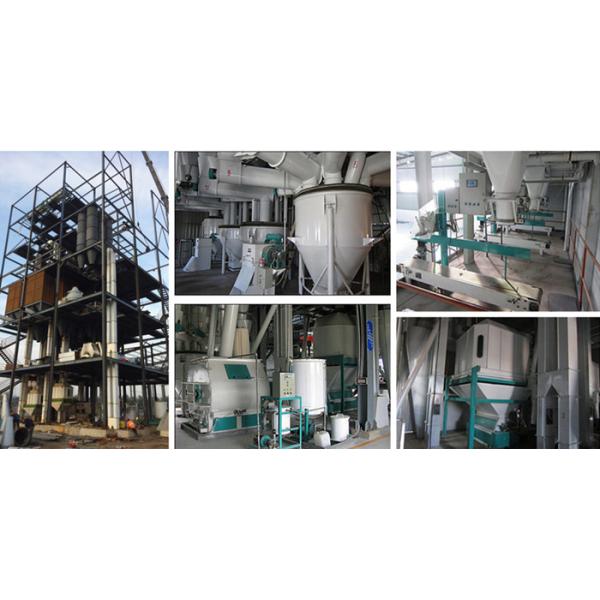 Turn Key Project Poultry Feed Manufacturing Plant For Chicken Cattle Ducks