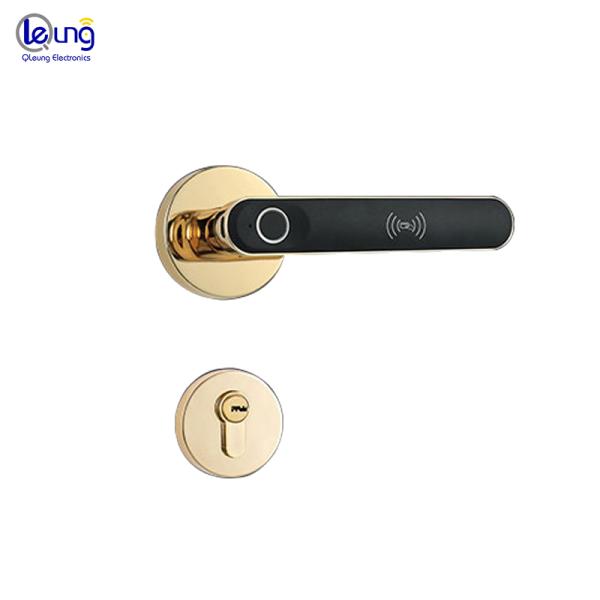 BLE Intelligent Door Lock Fingerprint Electronic Door Locks For Home