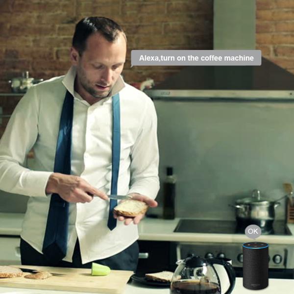 2.5in 10Amp Smart Plug Socket 16A Google Home Electrical Outlet