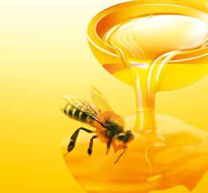 China Customized Capacity Honey Filtering Equipment For Improve Raw Honey Concentration wholesale
