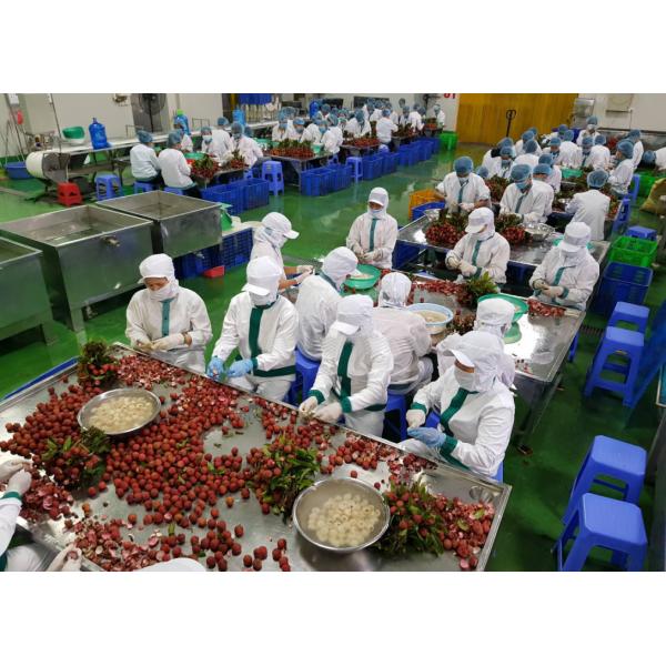 Lychee Canned Fruits Vegetables Litchi Whole / Broken In Light Syrup