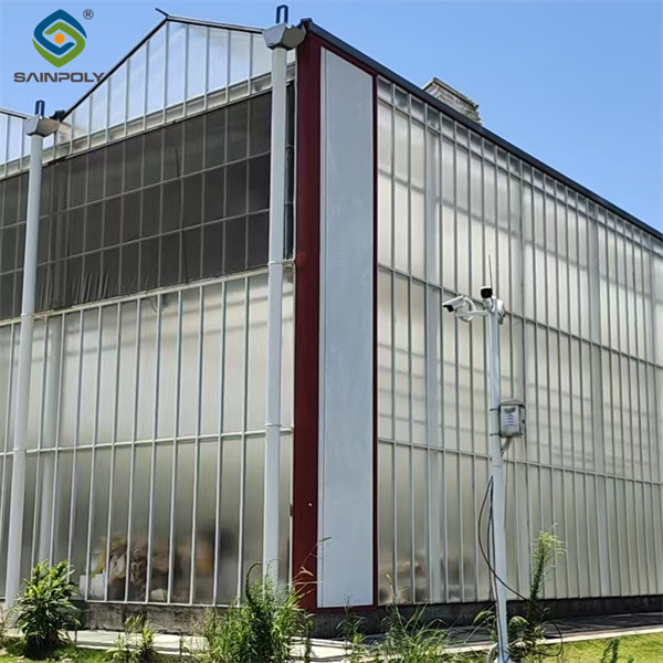 Venlo Greenhouse Commercial Polycarbonate Glass Greenhouse For Seeds Vegetables Hydroponic Tomato