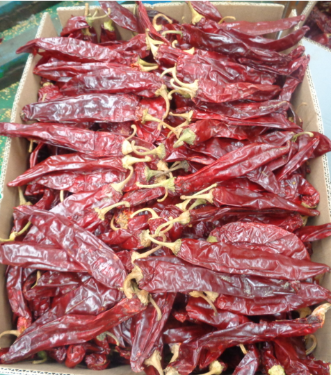 Dehydrated Cherry Red Guajillo Chilis 13CM Dried Long Red Chillies 100 SHU