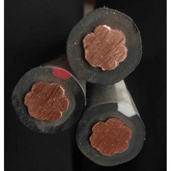 600V CVT Cable 38mm2 60mm2 100mm2 Triplex Cross-Linked Polyethylene Insulation Vinyl Sheath CVD CVQ CVT Cable