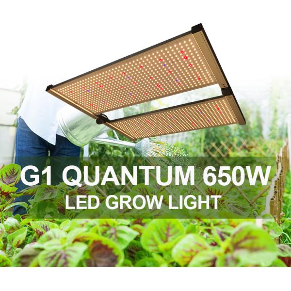 480w Dimmable Quantum Board UV IR 3x3 4x4 LED Grow Light with Timer