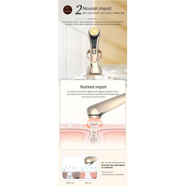 5 In 1 Multifunction Beauty Device Phototherapy RF EMS Microcurrent Facial Lifting Instrument