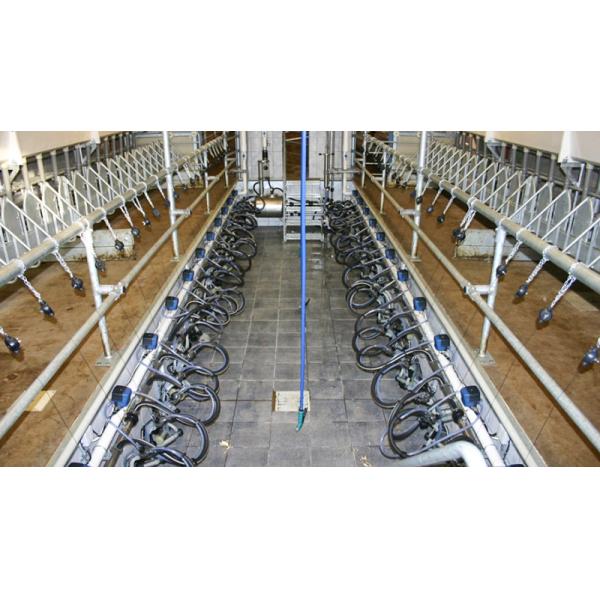 Prefab Steel Structure Sheep Shed Farm Building Design made of Q235 Low Carbon Steel