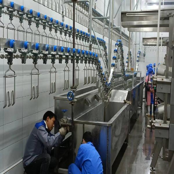 Stainless Steel Chicken Slaughter Production Line for Various Production Capacities