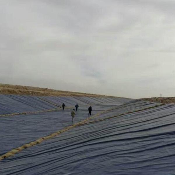 Anti Seepage HDPE Geomembrane Composited Membrane Agricultural Geomembranas For Fish Farming