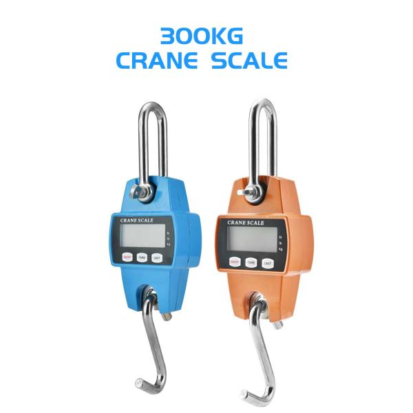 LCD Display Portable Digital Scale Heavy Duty Hanging Crane Scale 300kg Capacity OEM ODM Supported for Weight Measurement