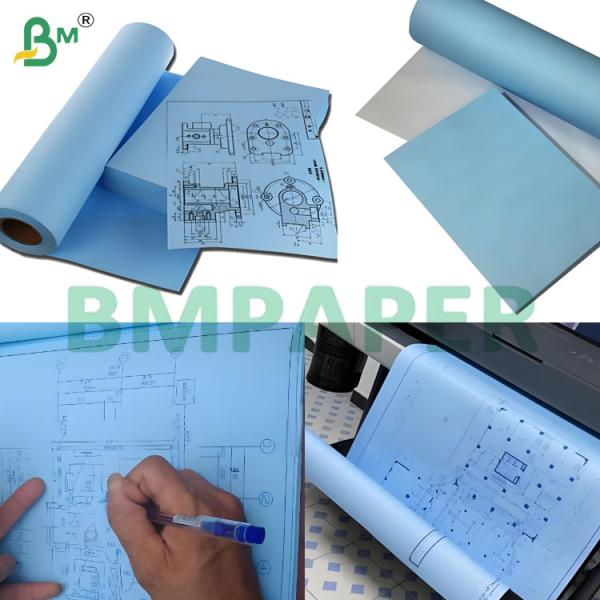Double Side Blue 80gsm Blueprint Paper Rolls for Engineering Draw
