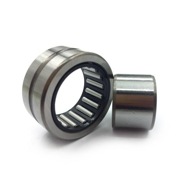 Brass Cage 10mm Needle Roller Bearing Double Ribs