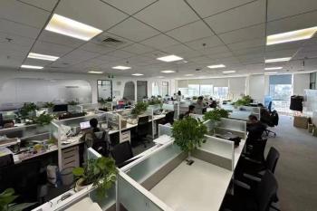 JINSP Company Ltd.