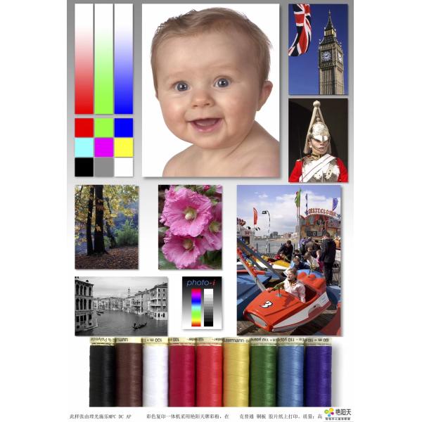 Yellow Color Ricoh Toner Cartridge For Ricoh MPC2050 / 2550