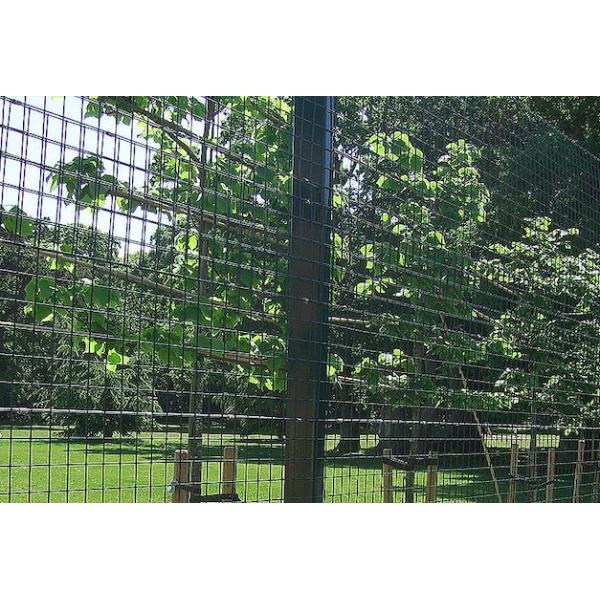 2.5mm Galvanized PVC Coated Wire Mesh 76 X 76mm Wire Mesh For Fencing