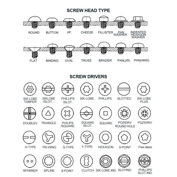 Stainless Steel Self-Tapping Decking Screw with Torx Square Drive and Robertson Head