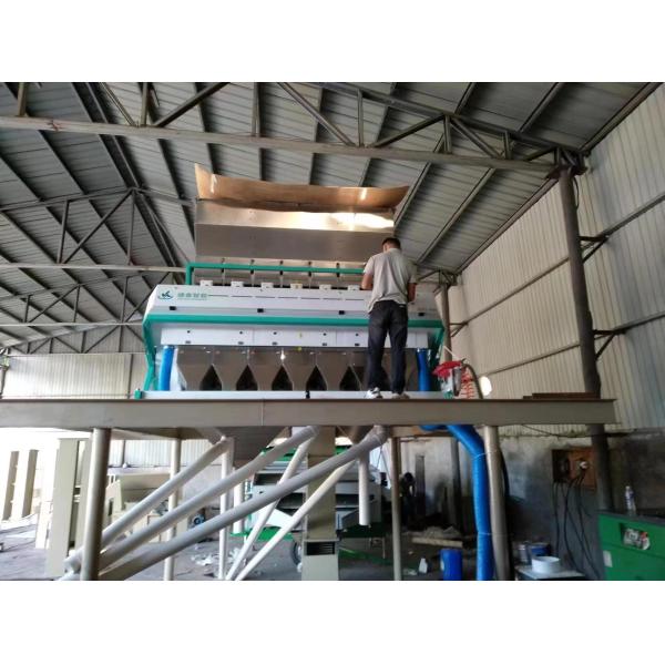 RGB Grain Processing Equipment For Corn Wheat Oat 5.0 - 10T/H