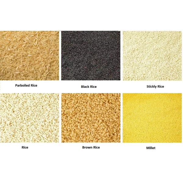 PLC Grain Color Sorter Machine For Size Sorting 12 Chutes