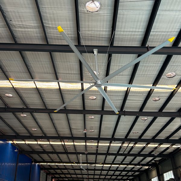6.1m 20FT Dairy Farm Hvls Ceiling Fans Powered by Permanent Magnet Synchronous Motor