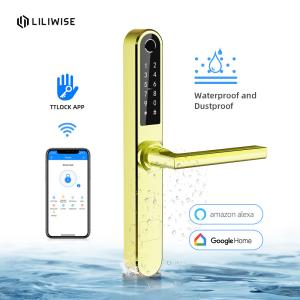 China Stainless Steel Lock Smart Biometric Aluminium Door Locks Low Power Consumotion wholesale