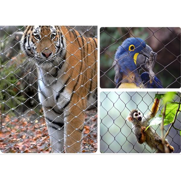 High Strength Knotted 7 × 19 Stainless Steel Wire Rope Mesh 316