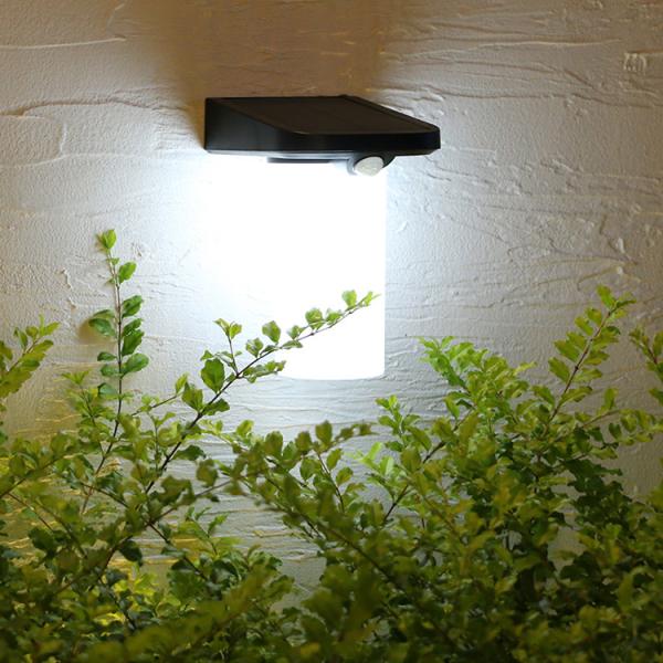 IP54 Waterproof LED Solar Wall Light Black Color Carton 59*55.4*42.5cm B720