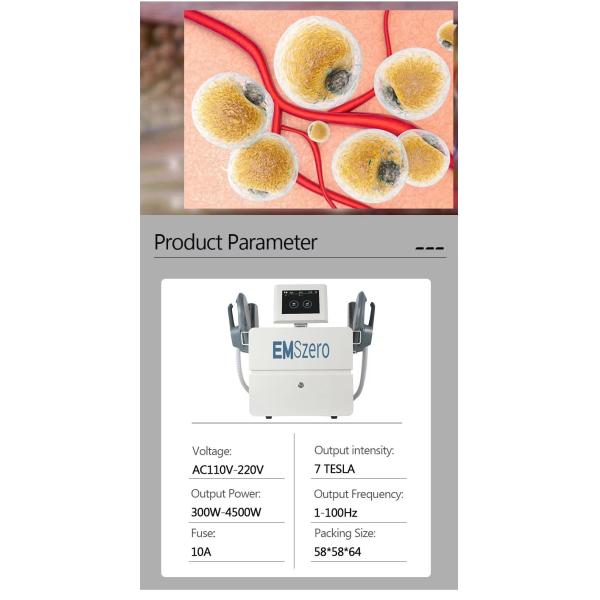 2 Handles or 4 Handles Muscle Building Body Sculpting Machine