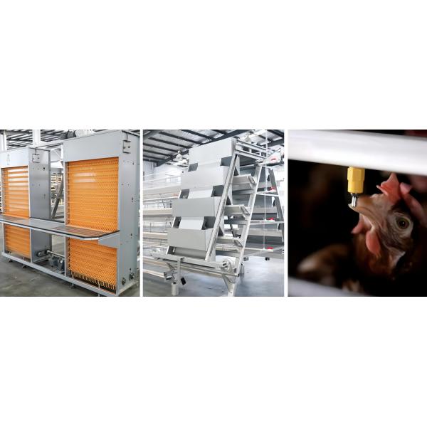 A Type Battery Layer Chicken Cage Automatic Chicken Poultry Farming Equipment
