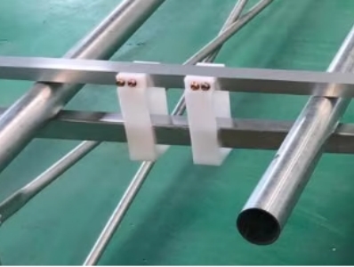 seedling table 5.jpg