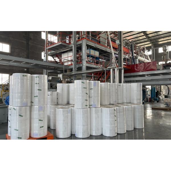 Customized PP Spunbond Non Woven Fabric Rolls Plastic Bag Free Sample Available