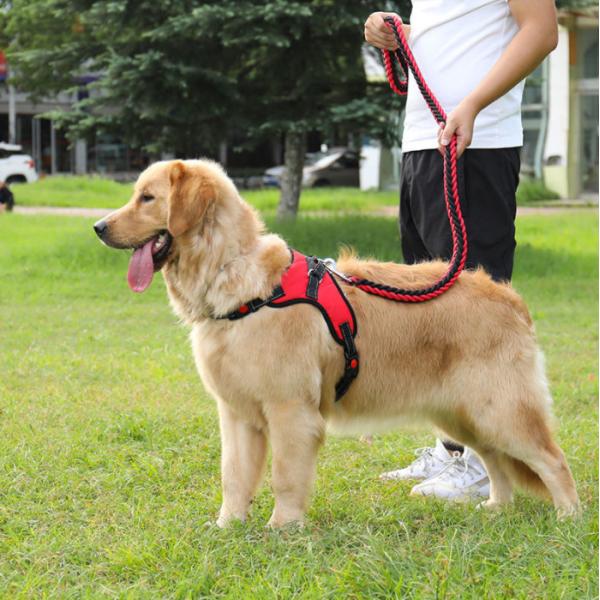 Waterproof Heavy Duty Retractable Dog Lead For Big Dogs Nylon