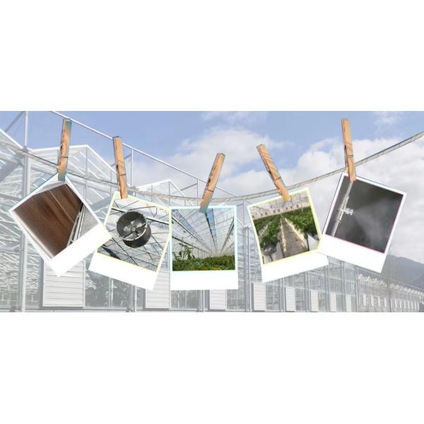 Gear Motor For Greenhouse 3.jpg