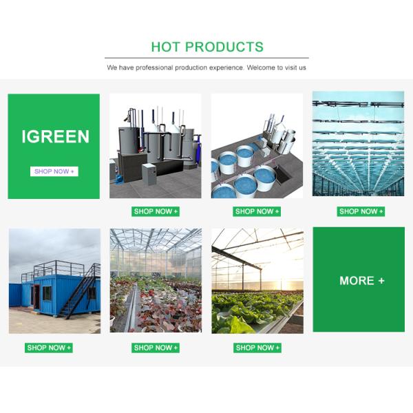 UV Proof Greenhouse Hydroponics System Vegetables Growing Deep Water Culture System