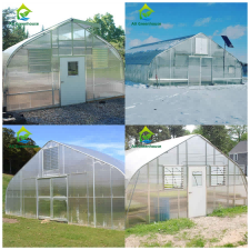Custom Size PC Sheet Agricultural Wind Resistant Polycarbonate Tomato Greenhouse