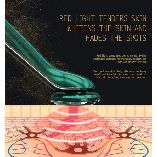 CE ROHS 45Degrees Heated Negative Ion Facial Massager