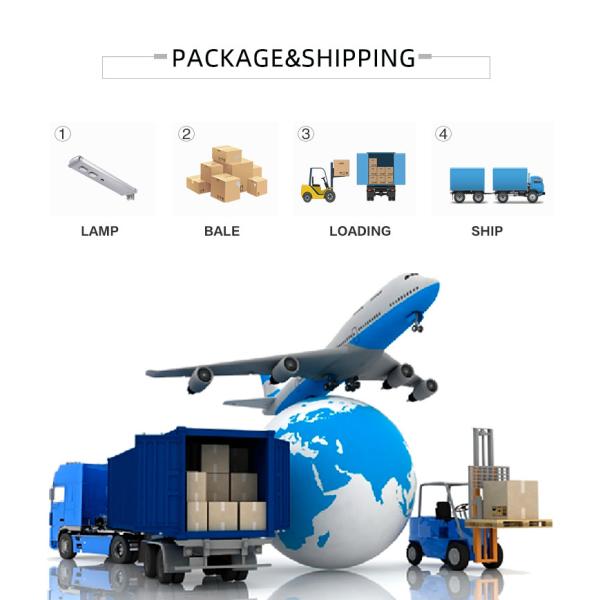 OEM/ODM High Bright LED Floodlight 120w 240w 360w 480w 720w For Tunnel