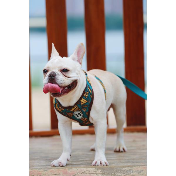 Large Dog Walking Harness Vest For Car And Walking 32cm To 40cm Neck