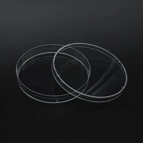 Lab Sterilized Suspension Culture Dish: Non-Treated Surface Cell Plate