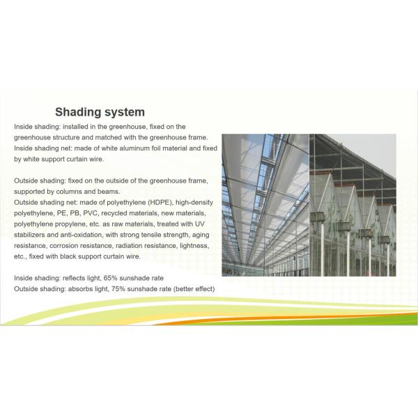Venlo Greenhouse Commercial Polycarbonate Glass Greenhouse For Seeds Vegetables Hydroponic Tomato